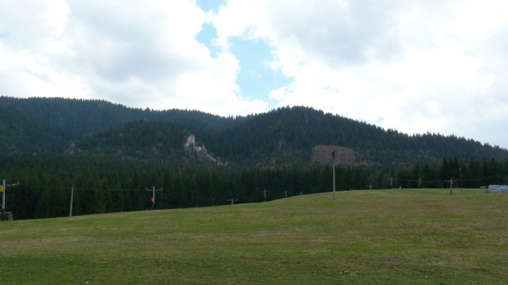 P1030842.jpg