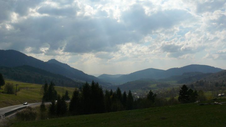 P1030851.jpg
